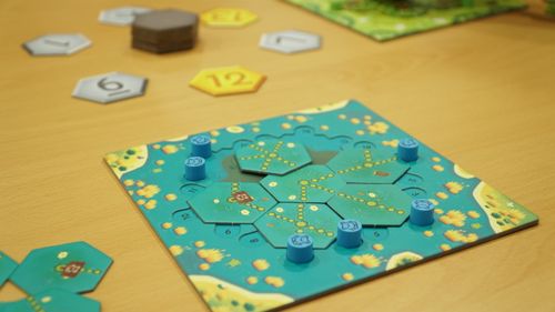 Board Game: Eco-Links