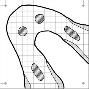 Grid Race