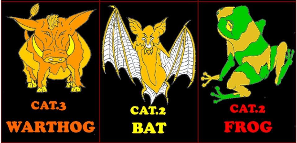 Coperta Witches and Wizards