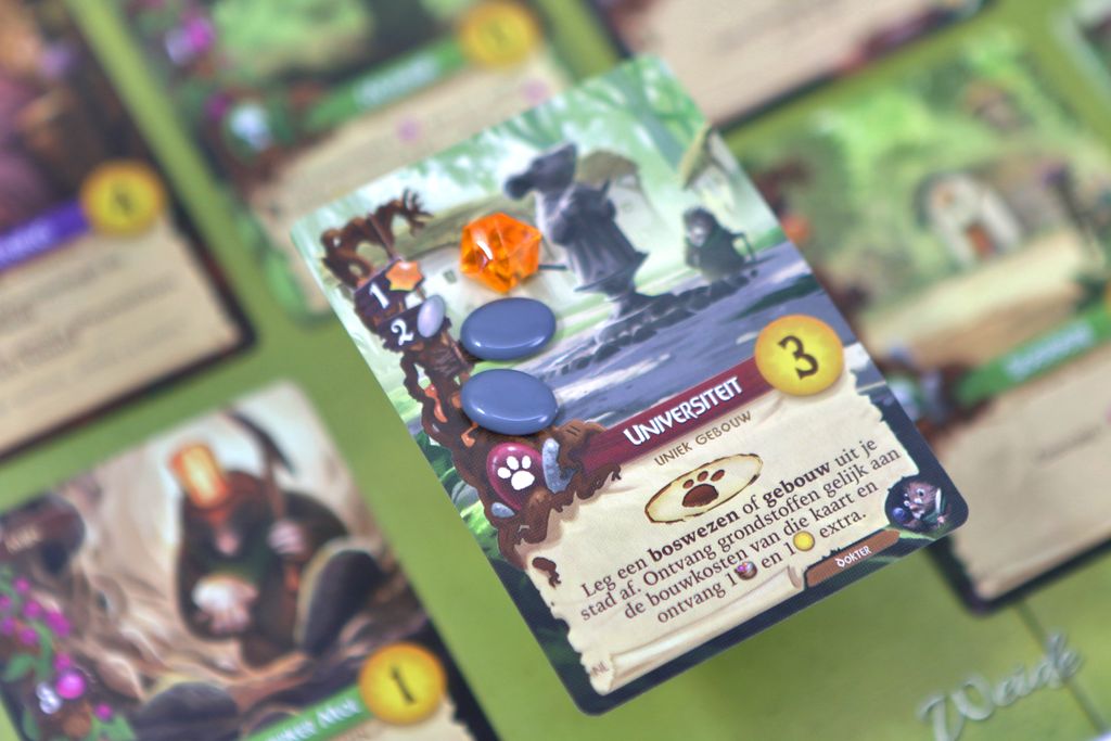 Board Game: Everdell