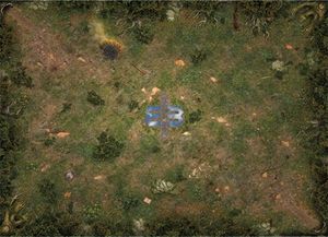 Mage Wars: Arena Playmat – Straywood Forest