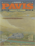 RPG Item: Pavis