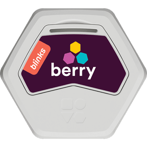 Berry
