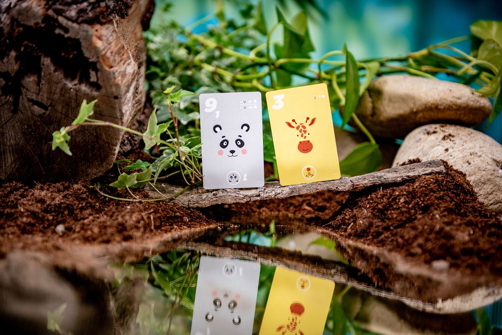 https://cf.geekdo-images.com/iHllIWoVwqzGvPvvFBnnhw__large/img/uOWDs_OIZDiE4tKmOtyLPBgWnVA=/fit-in/1024x1024/filters:no_upscale():strip_icc()/pic8709892.jpg