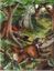 RPG Item: Tales from the Wood