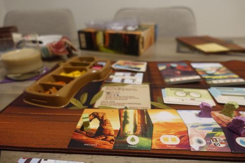 My stats | One Single Meeple