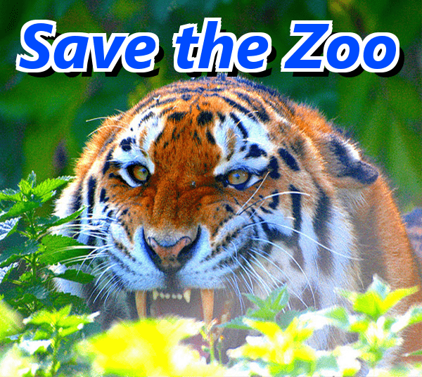 Save the Zoo