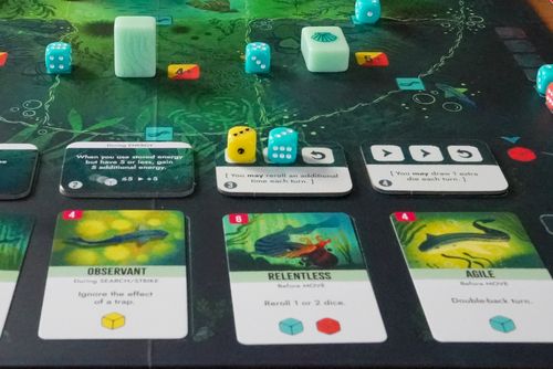 보드 게임: 켈프: 상어 vs 문어