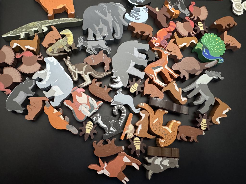 Illustration 3 de Earth: Animal Kingdom Expansion