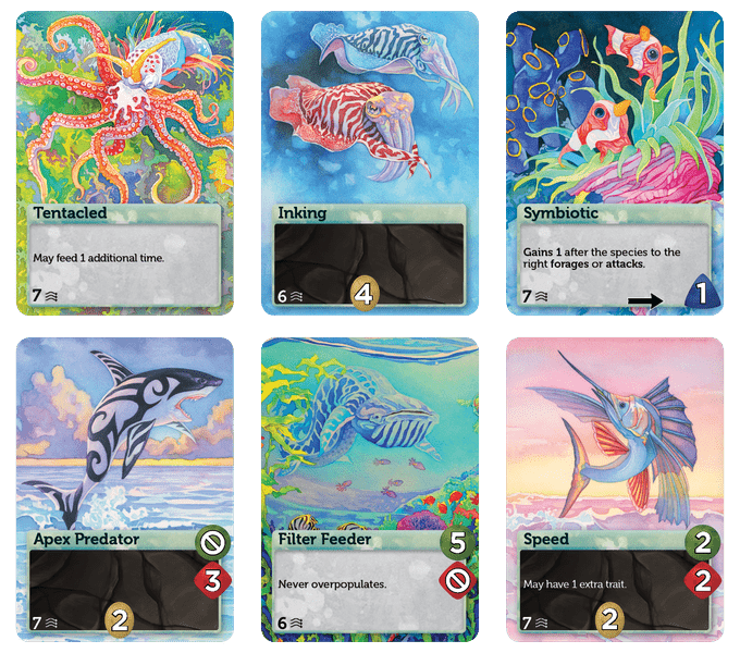 6 cards from The Surface deck illustrated by Catherine Hamilton.
