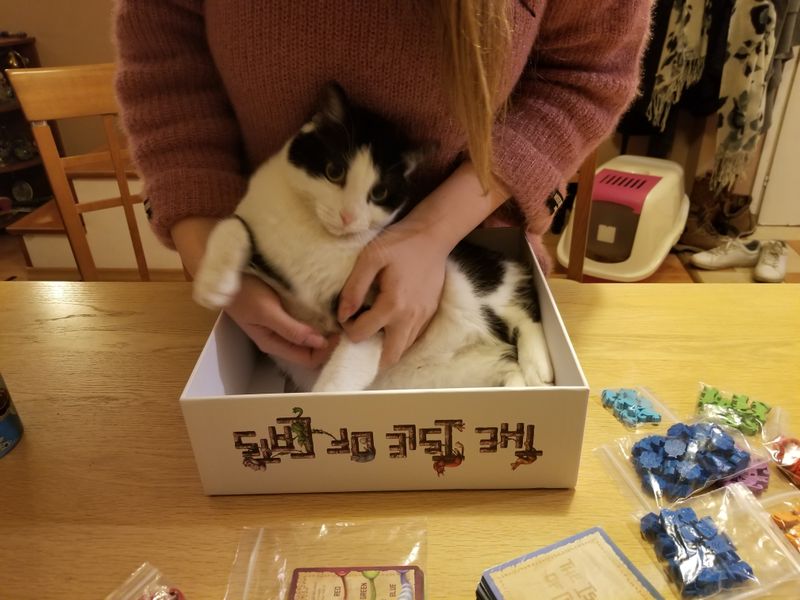 The Isle Of Cats Image Boardgamegeek