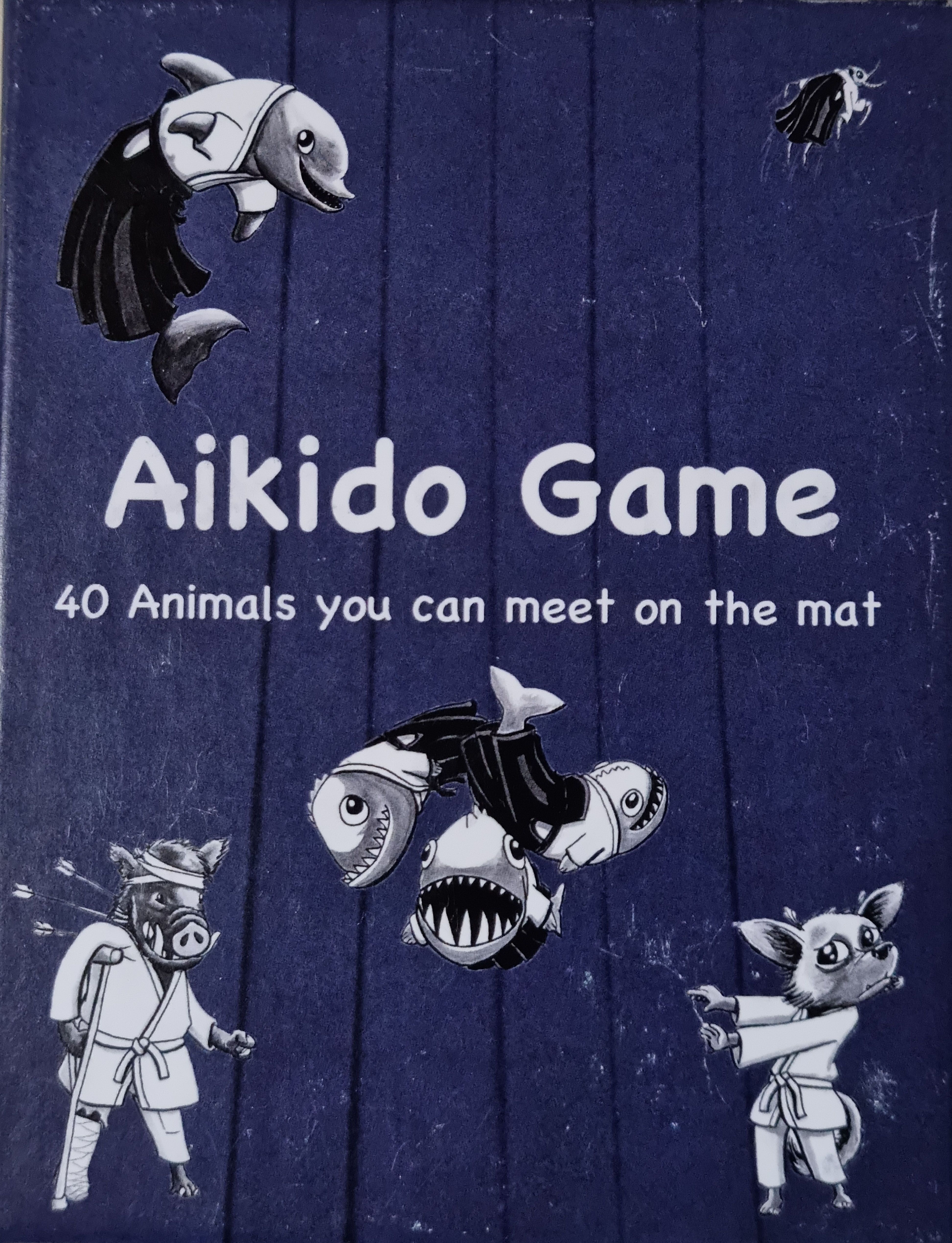 Aikido Game