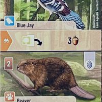Forest Shuffle: Blue Jay / Beaver Promo Card