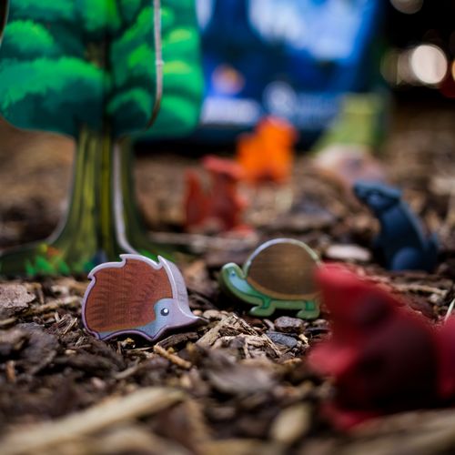 Board Game: Photosynthesis: Under the Moonlight