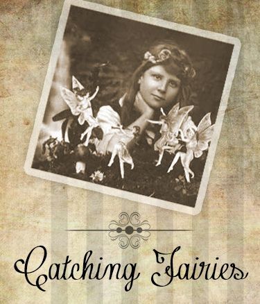 Catching Fairies