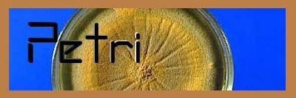 Petri