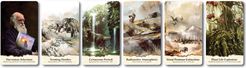 Evolution: Scenario Cards