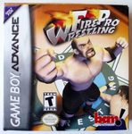 Video Game: Fire Pro Wrestling (GB)
