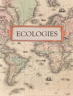 Ecologies: Faux Book Box