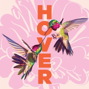 Hover