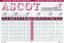 Board Game: Ascot