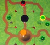 Board Game: Atta Ants
