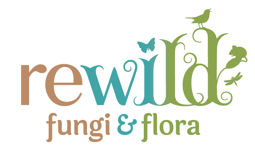 Rewild: Fungi & Flora