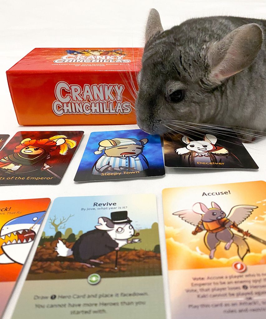 Illustration 11 de Cranky Chinchillas