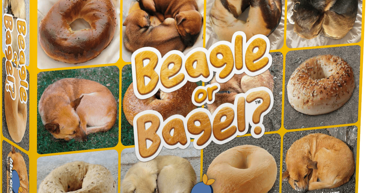 Beagle or Bagel? | Board Game | BoardGameGeek