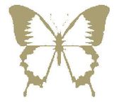 Butterfly (fan expansion for Hive)