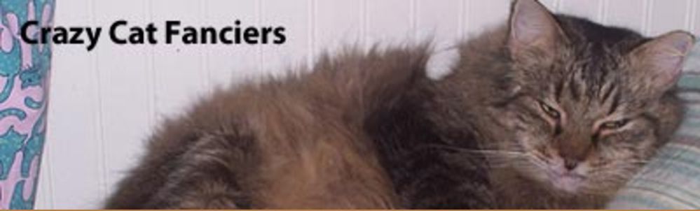 Crazy Cat Fanciers