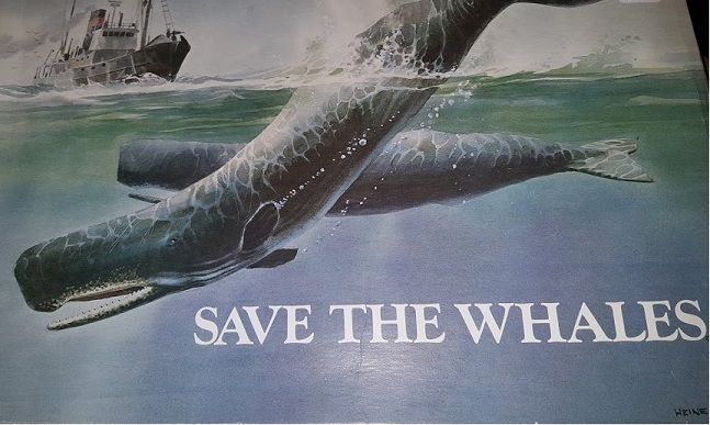 Save the Whales
