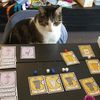 Cat Lady Board Game Boardgamegeek