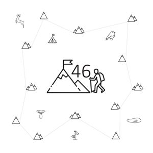 46