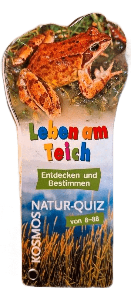 Leben am Teich