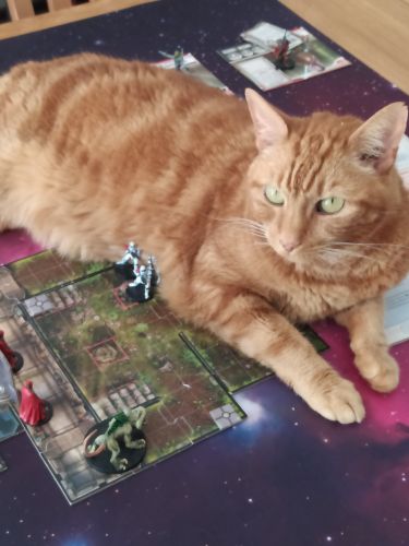 S Hobby Zone Boardgamegeek