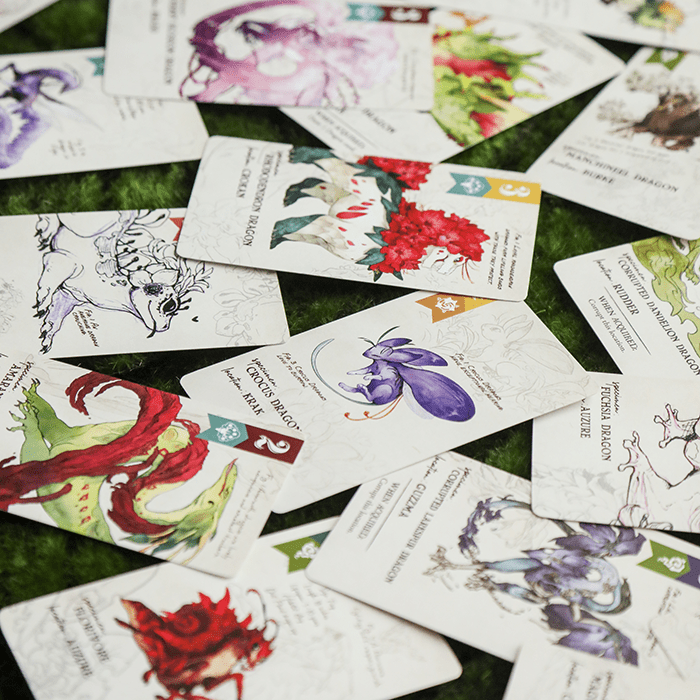 Illustration 12 de Botany Floral Dragons
