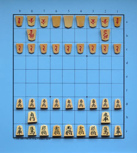 International / Westernized Shogi Game Pieces with Arrows and