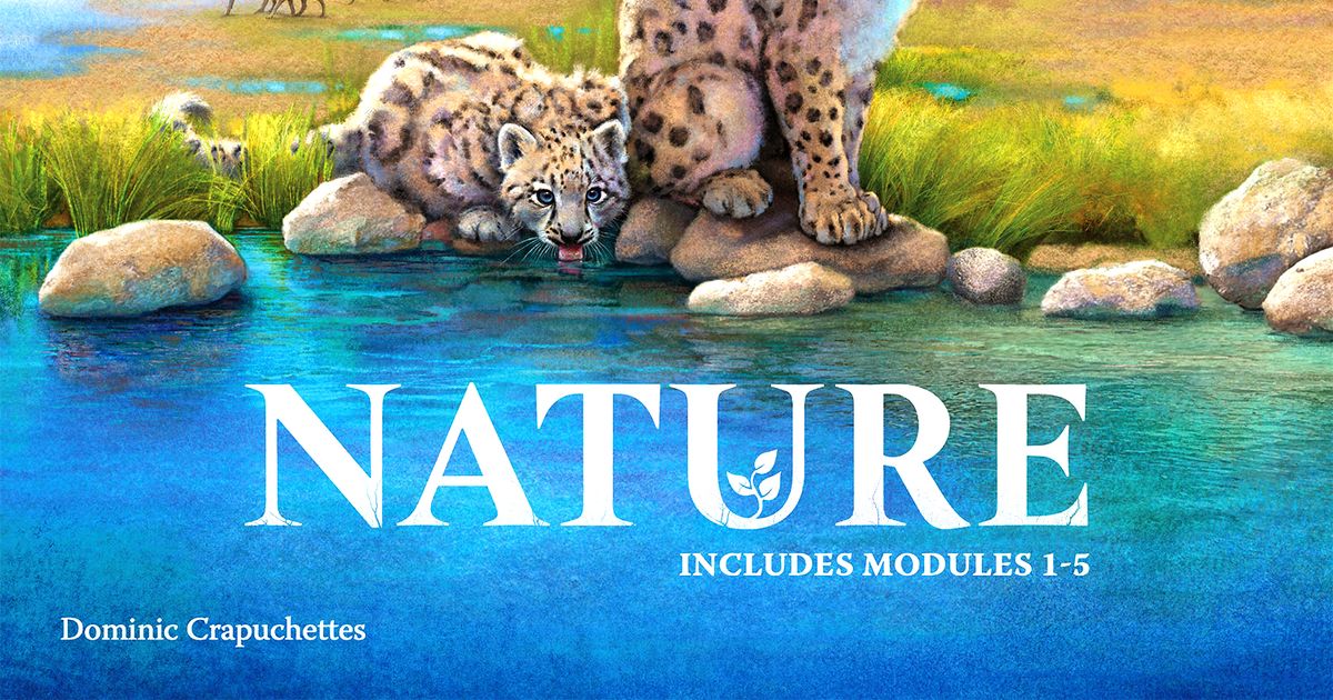 Nature: Big Box Edition | Board Game | BoardGameGeek