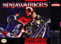 Video Game: The Ninja Warriors (1994)