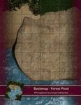 RPG Item: Battlemap: Forest Pond