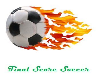 Final Score Soccer World Cup Edition