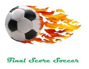 Final Score Soccer World Cup Edition
