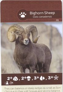 Earth: Bighorn Sheep/Rocky Mountain Elk Promo Card