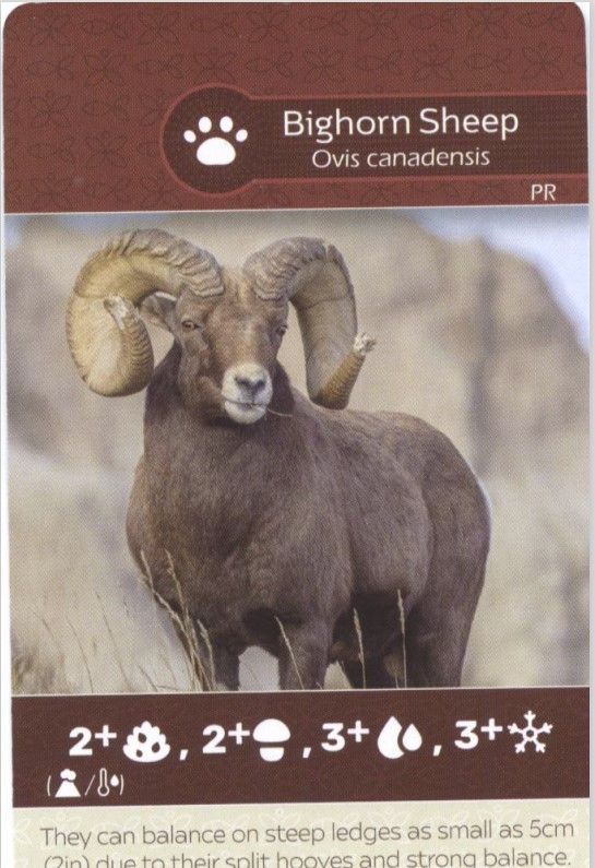 Earth: Bighorn Sheep/Rocky Mountain Elk Promo Card