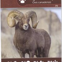 Earth: Bighorn Sheep/Rocky Mountain Elk Promo Card