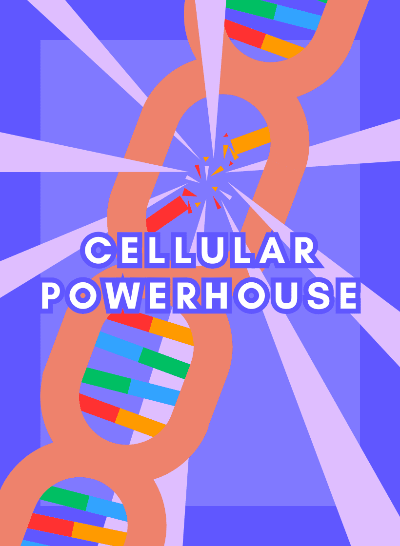 Cover art for Cellular Powerhouse