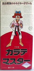 THEカラテマスター (The Karate Master)