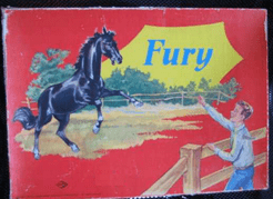 Fury