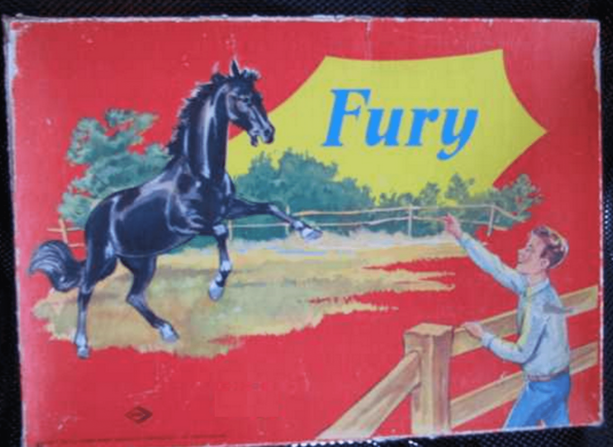Fury